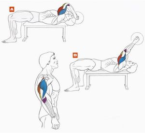 Дориан Ятс объясняет как тренировать плечи и трицепс