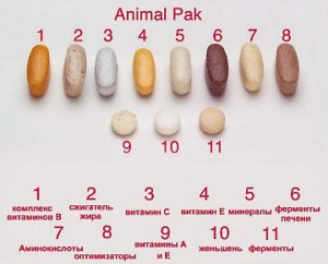 Обзор витаминов Animal PAK